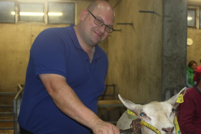 Derek Fenton demonstrates trimming a sheep