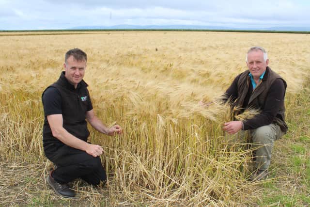 Talking crops at the recent Carsehall Farm Open Day: Damian
McAllister DLF Seeds and Richard Kane, Broighter Gold