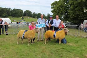 The winner (right) and runner-up in the Danske/Bank Northern
Ireland Shows' Association Championship. Holding the ewes are Amy Presho and Trevor Bell. Adding their congratulations are Graham Furey, president Northern Ireland Shows Association; John Barclay, who judged the class plus Danske Bank's Mark Forsythe and his son Jack