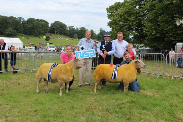 The winner (right) and runner-up in the Danske/Bank Northern
Ireland Shows' Association Championship. Holding the ewes are Amy Presho and Trevor Bell. Adding their congratulations are Graham Furey, president Northern Ireland Shows Association; John Barclay, who judged the class plus Danske Bank's Mark Forsythe and his son Jack