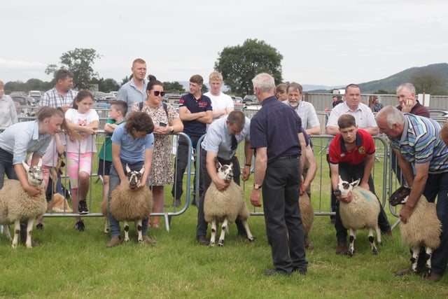 Pictured at Limavady Show on Saturday. Picture: Kevin McAuley/McAuley Multimedia