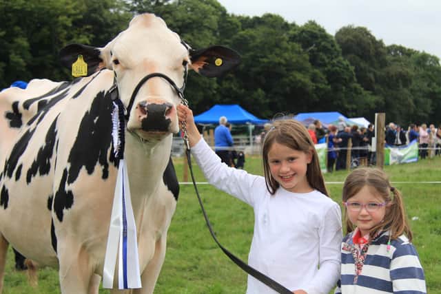 Emily Booth, Stewartstown, and Ella Kennedy, Ballymena, pictured with the prize winning Holstein cow Sterndale Fitz Lambda Airy at the Randox Antrim Show. Picture Julie Hazelton