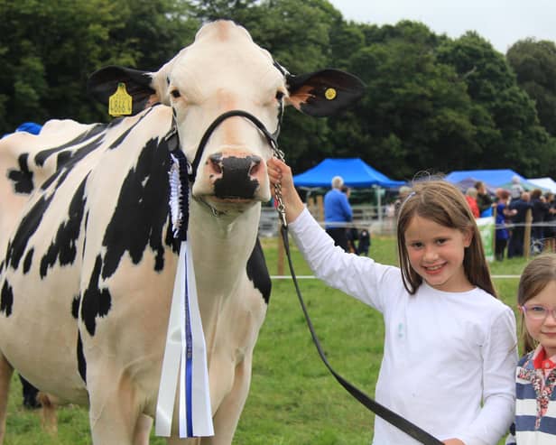 Emily Booth, Stewartstown, and Ella Kennedy, Ballymena, pictured with the prize winning Holstein cow Sterndale Fitz Lambda Airy at the Randox Antrim Show. Picture Julie Hazelton