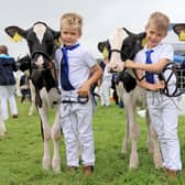 Keen showmen Cody, Dylan and Jamie Paul from the Slatabogie Holstein Herd, Maghera, pictured with their calves at the Randox Antrim Show. Picture: Julie Hazelton