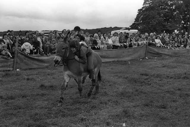 Twelve-year-old Tina Hynds from Portaferry on Lighting Flash almost fell off as she crossed the line to win the 3pm at the Portaferry Gala Bass Donkey Derby in July 1981. Picture: News Letter archives