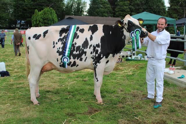Jason Booth with the Champion of Champions at Clogher Show 2022