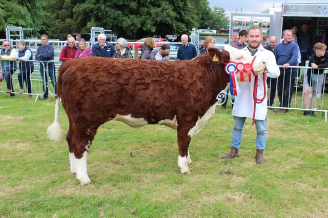 Ciaran Kerr with the Hereford champion at Clogher Valley 2022