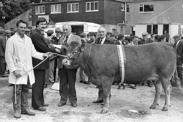 Mr Trevor Turnbull of Hayes Pipes, presenting the £100 sponsorship cheque to Mr J McCambley, chairman of the Northern Ireland Limousin Cattle Club. Mr Herbie Crawford, Maguresbridge, is at the halter of the champion Limousin at the Enniskillen (Fermanagh) Show in August 1982. Picture: Farming Life/News Letter archives