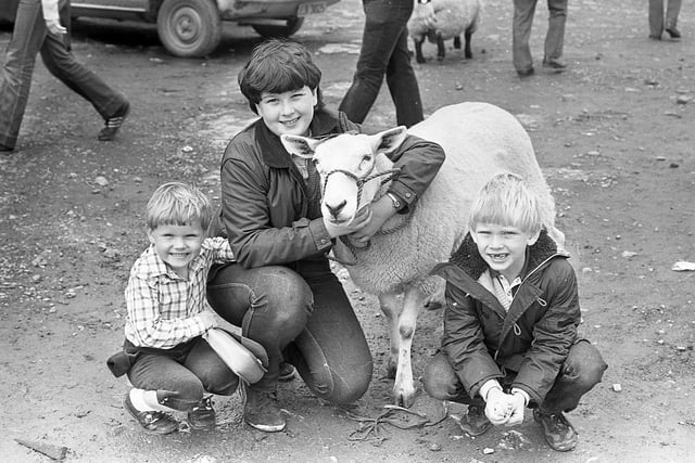 Jane Turner with sister Sharon and brother Desmind from Dromore, Co Tyrone, with the first prize Texel ewe at the Enniskillen (Fermanagh) Show in August 1982. Picture: Farming Life/News Letter archives
