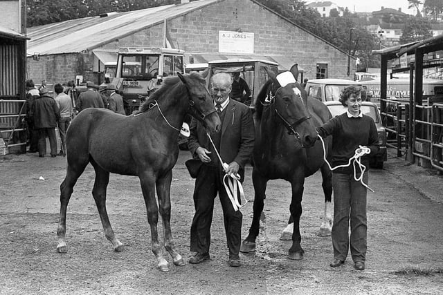 Mrs Madeline Graham from Dublin Road, Omagh, and Mr William Quinn, with the champion brood mare at the Enniskillen (Fermanagh) Show in August 1982. Picture: Farming Life/News Letter archives