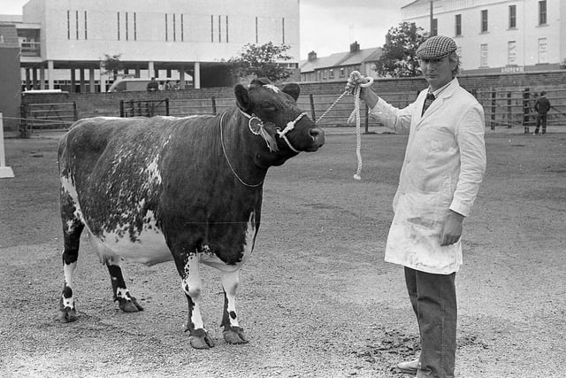 Mr Tom Prescott with the Dairy Shorthorn champion of the Crawford Brothers, Maguresbridge, at the Enniskillen (Fermanagh) Show in August 1982. Picture: Farming Life/News Letter archives