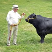 Geoff Roper with his bull called Conker