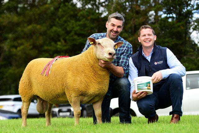 1st Prize Shearling Ram at the Dungannon Charollais Sheep Show and sale shown by Trevor Bell with Sponsor Provita Animal Health Rep Eoin Kelly