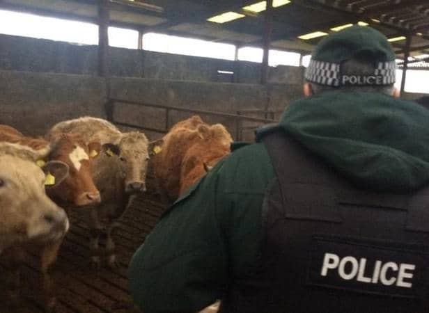 While the cost of rural crime continues to fall, rural communities are urged to remain vigilant