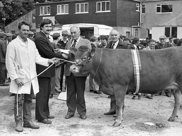 Mr Trevor Turnbull of Hayes Pipes, presenting the £100 sponsorship cheque to Mr J McCambley, chairman of the Northern Ireland Limousin Cattle Club. Mr Herbie Crawford, Maguresbridge, is at the halter of the champion Limousin at the Enniskillen (Fermanagh) Show in August 1982. Picture: Farming Life/News Letter archives
