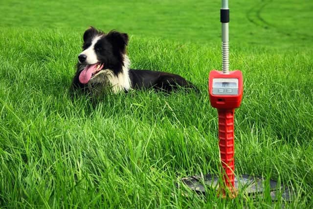 Improve sward management by monitoring grass yields with a plate meter.
