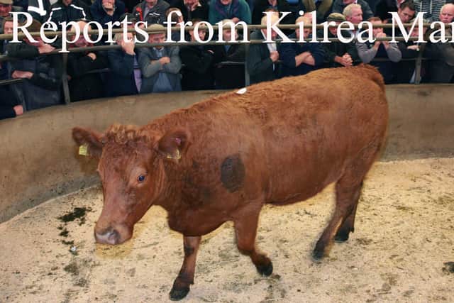 Picture John McIlrath Kilrea Mart/Kevin McAuley Photography Multimedia