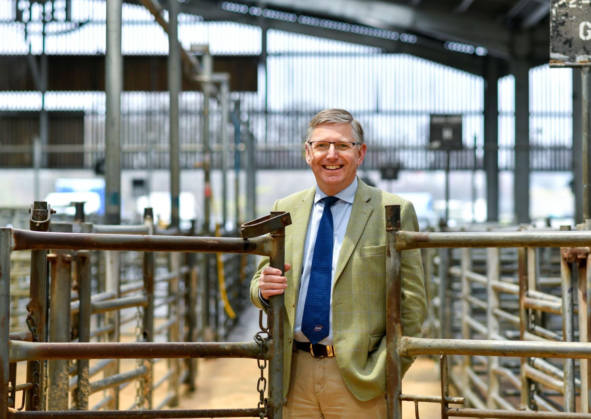 Pedigree bull sales back in the ring for annual May event - Vimarsana News