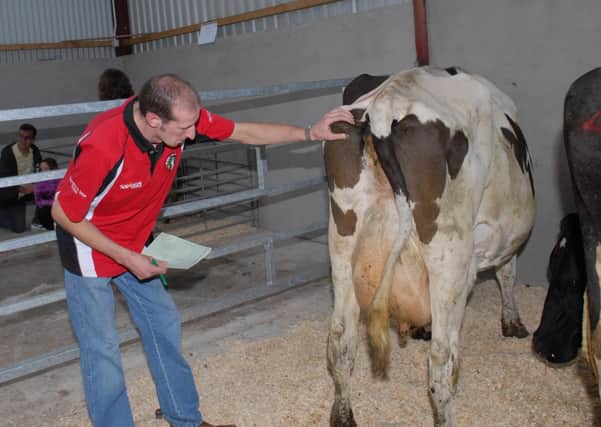 A YFCU member taking part in stock judging during pre-Covid-19 days