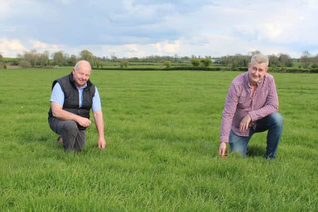 Bio-Sil's Frank Foster out on farm with Co Armagh beef finisher Joe McCarragher earlier this week.