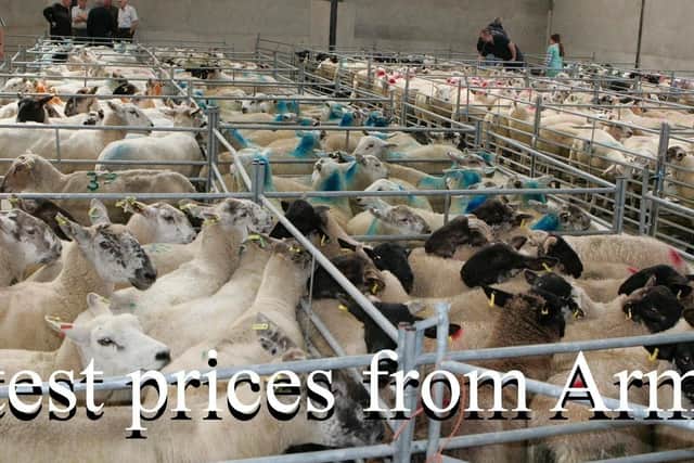 Armoy Mart