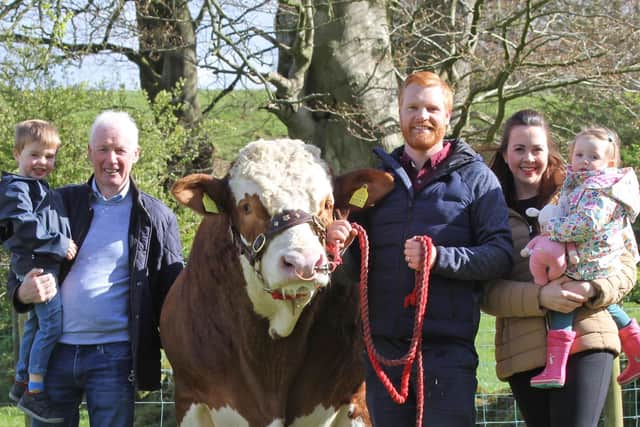 The Weatherup family Leslie, Christopher, Laura, Archie and  Rita from Ballyclare, with their £25,000 record breaking Simmental bull Lisglass Kirk. Picture: Julie Hazelton