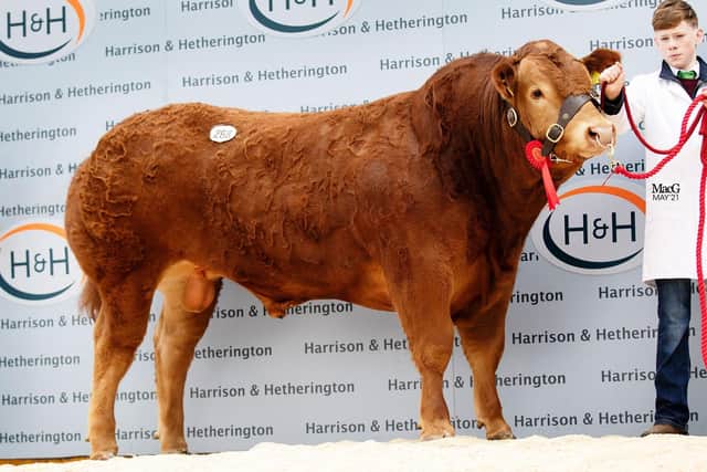 Millgate Rob-30,000gns