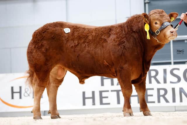 Tillside Predator-40,000gns