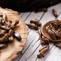 Edible insects show great potential as an environmentally friendly choice for future food systems.