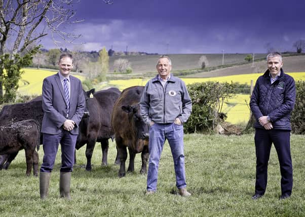 The Livestock and Meat Commission for Northern Ireland (LMC) is continuing its support of the local agri-food industry by renewing its sponsorship for this yearâ€TMs Bank of Ireland Virtual Farm Weekend. Taking place online during Friday 30 July to Sunday 1 August, Open Farm Weekend has had a successful partnership with the LMC for many years through its popular cookery demonstrations, as well as the work it does in highlighting the Northern Ireland Farm Quality Assured beef and lamb farms that participate in the Weekend. Pictured L-R is Ulster Farmersâ€TM Union Deputy President David Brown, John Best from participating farm Acton House Farm, Poyntzpass and LMC Chief Executive Ian Stevenson