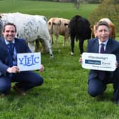 Peter Alexander, Young Farmers' Clubs of Ulster president, and Rodney Brown, head of agri-business, Danske Bank