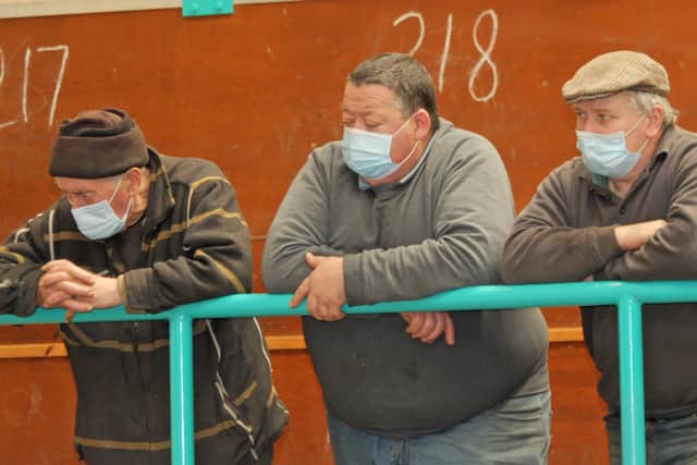 Keeping an eye on trade at the NI Simmental Clubâ€TMs sale in Ballymena Mart.