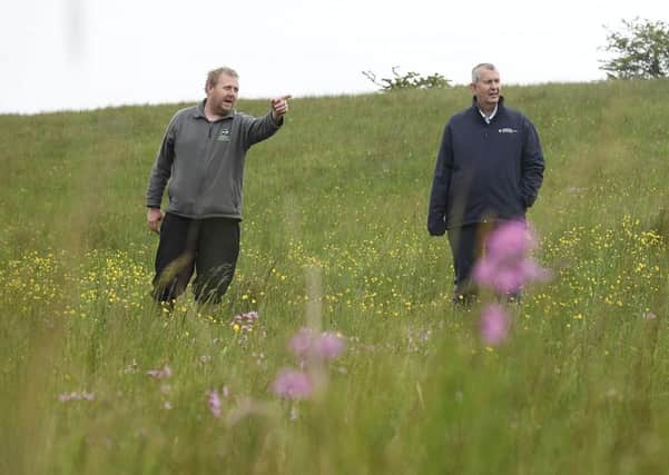 DAERA Minister Edwin Poots pictured visiting Slievenacloy in Belfast which is just one of the environmental projects benefitting from funding.