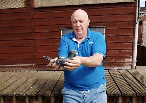 Terence McCrudden from the Coleraine & County Derry RPS topped the NIPA from Talbenny, he has named the bird “Sammy T”after the late Sammy Thompson.