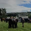 The annual June Horse Fair has been held in Derry’s Brandywell for well over a century, but due to Covid-19 it will now be cancelled for just the second time in its history
