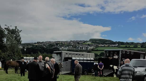 The annual June Horse Fair has been held in Derry’s Brandywell for well over a century, but due to Covid-19 it will now be cancelled for just the second time in its history