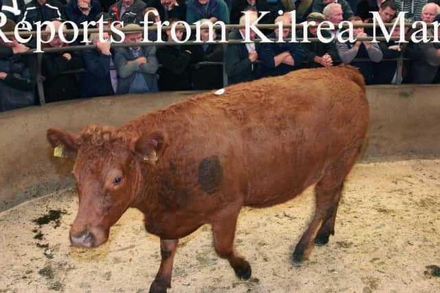 Kilrea Mart
