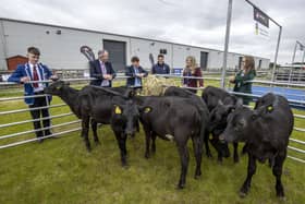 Representing the teams are from left Stuart Cromie, ABP Molly Nelson, Friends' School Lisburn, William Hamilton, Cookstown High School, Lois McCurdy Dalriada School, Ballymoney, Mark Grew St Kevin's College Lisnaskea and Charles Smith of the Northern Irish Angus