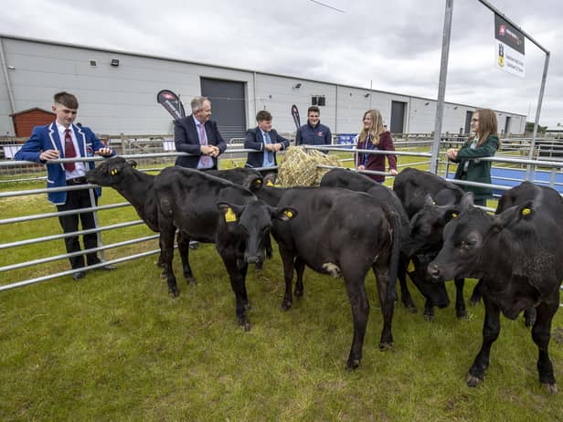 Representing the teams are from left Stuart Cromie, ABP Molly Nelson, Friends' School Lisburn, William Hamilton, Cookstown High School, Lois McCurdy Dalriada School, Ballymoney, Mark Grew St Kevin's College Lisnaskea and Charles Smith of the Northern Irish Angus