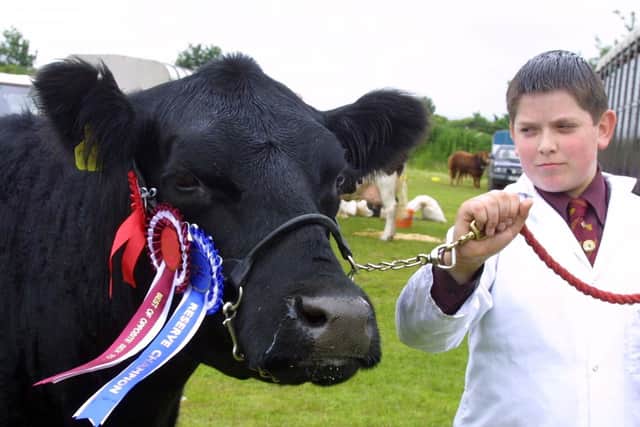 RICHARD MCKEOWN FROM TEMPLEPATRICK WINNER OF THE YOUNG HANDLER COMPETITION BEST OPP SEX AND RESERVE ANGUS AT LIMAVADY

PIC KEVIN MCAULEY