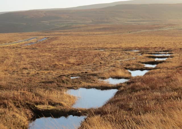 Garron Plateau by Northern Ireland WaterGarron Plateau by Northern Ireland Water