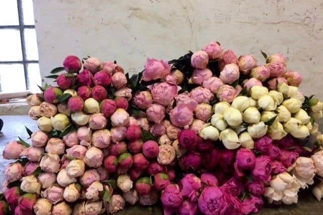 Peonies have proved very popular even in lock down with great demand in supermarkets and at the Moorfield Farm gate honesty box