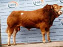 Lodge Puzzler sold for 7500gns