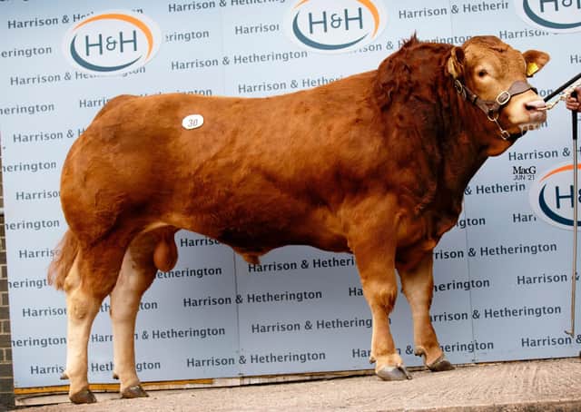 Lodge Puzzler sold for 7500gns