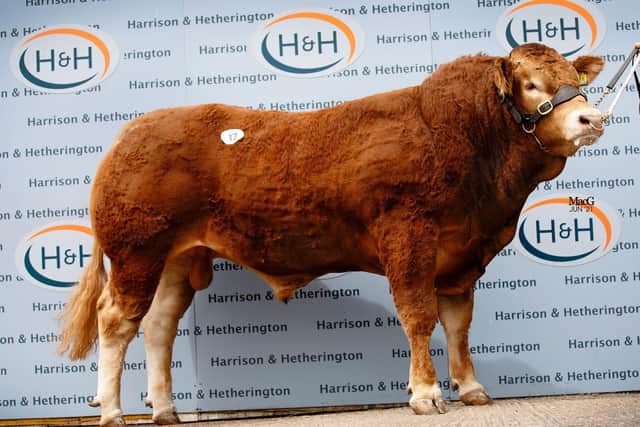 Stephick Prestigious sold for 5400gns