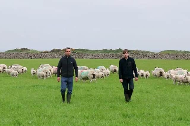 James Henderson's beef and sheep farm at Kilkeel provides an opportunity to see excellent grassland management on an exposed coastal farm incorporating some interesting historical features connected to World War II and the US Air Force and can be seen during the BGS Summer Meeting webinar being transmitted on Tuesday 29th June