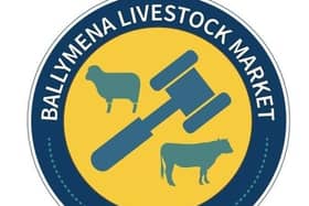 Ballymena Mart