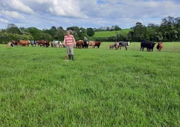 Ryan Young’s paddocks are sized for moving the suckler herd every three days depending on grass growth and covers.