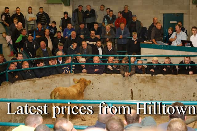 A packed ringside at the NI Charolais Cattle Suckled Calf Show and Sale in Hilltown Mart. Photograph: Columba O'Hare