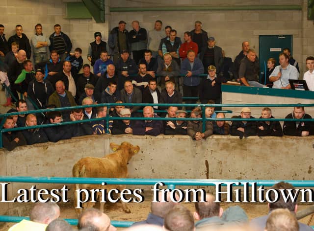A packed ringside at the NI Charolais Cattle Suckled Calf Show and Sale in Hilltown Mart. Photograph: Columba O'Hare